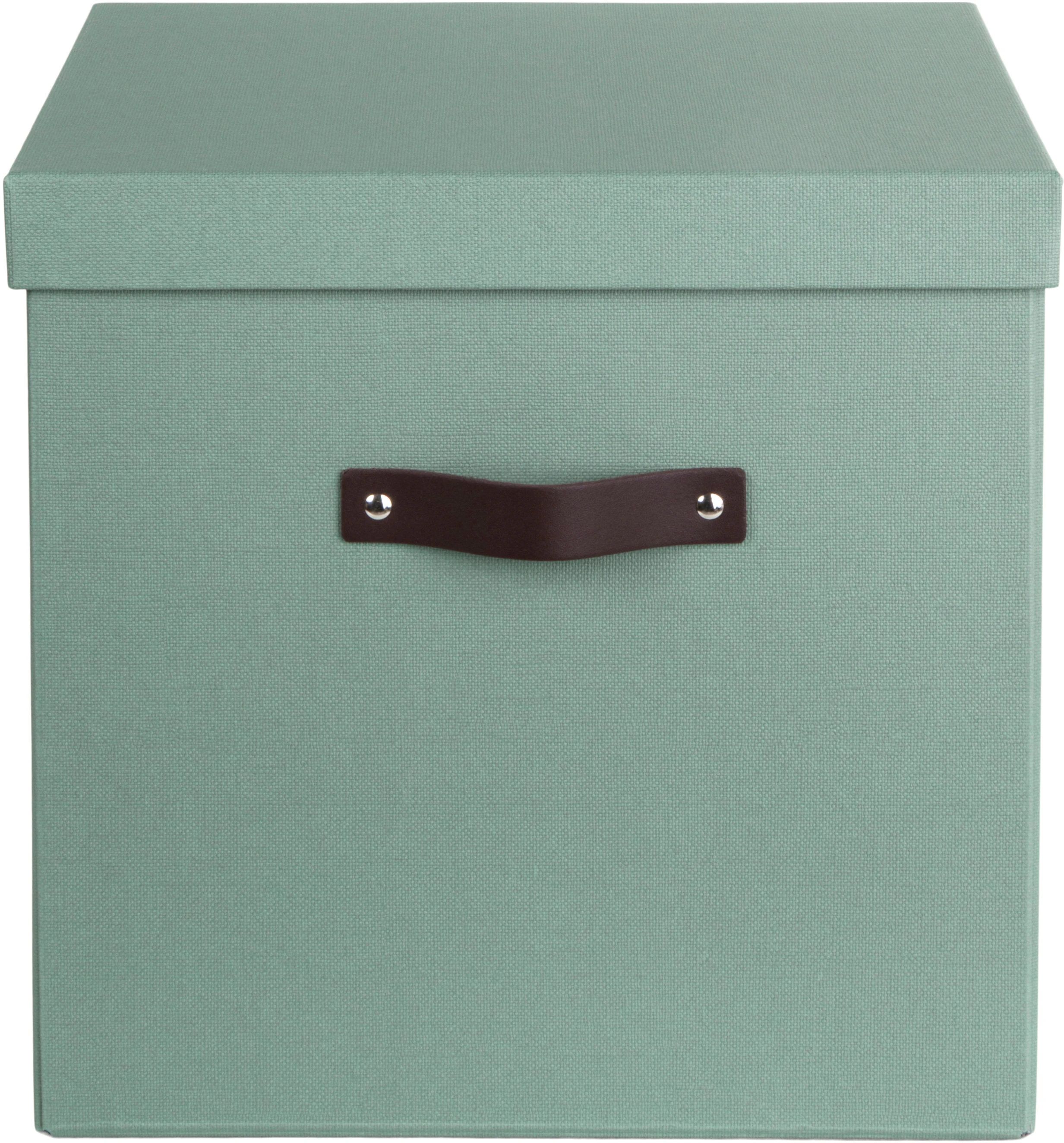 BIGSO BOX OF SWEDEN Aufbewahrungsbox Logan 9901C1649L01 mintgrün 31.5x31x31.5cm
