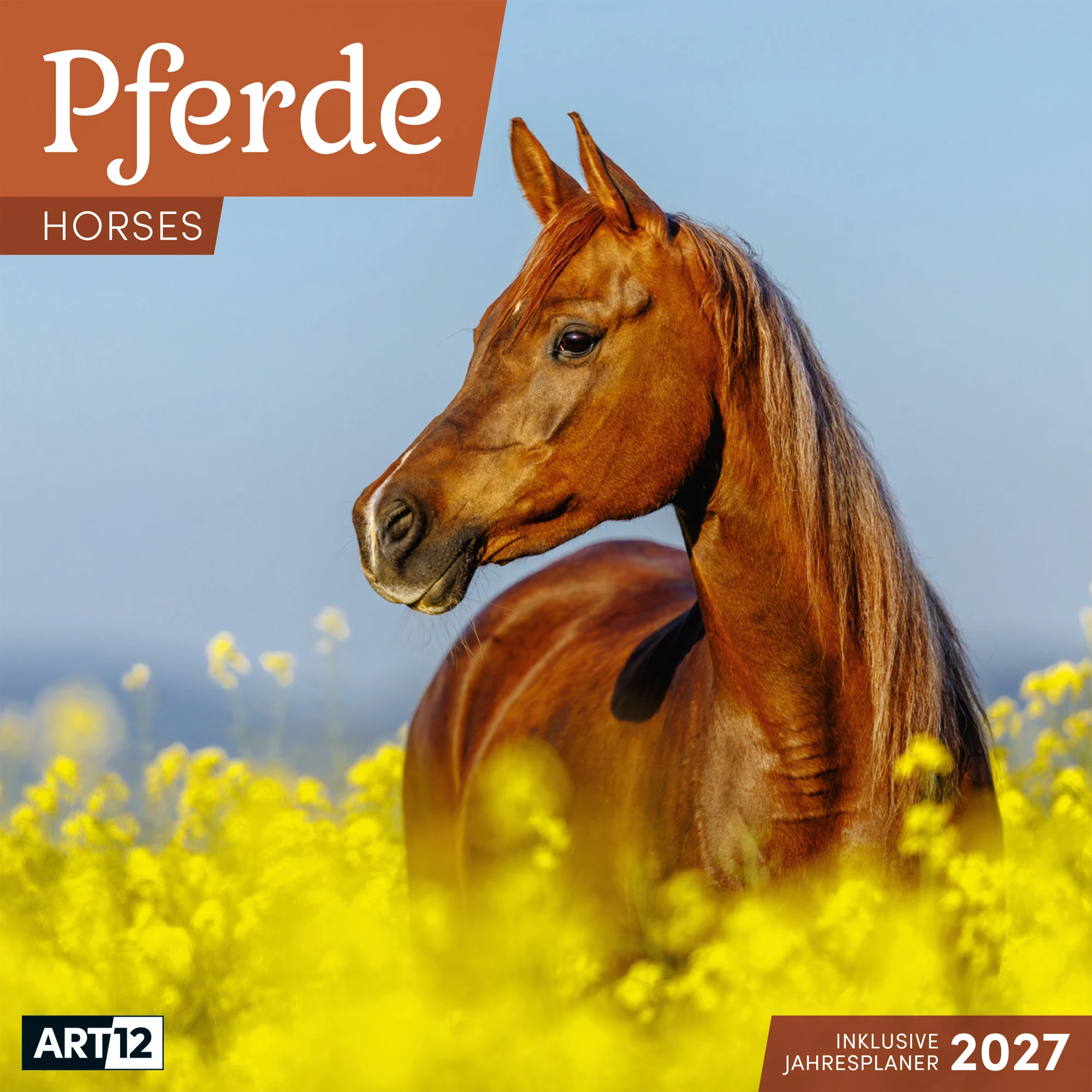 ACKERMANN Bildkalender 2027 4721 Pferde ML 30x30cm
