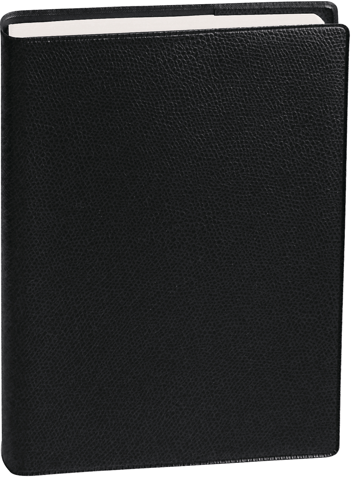 QUO-VADIS Eurotextagenda Impala 25/26 128003Q 1T/1S 12M schwarz ML 12x17cm