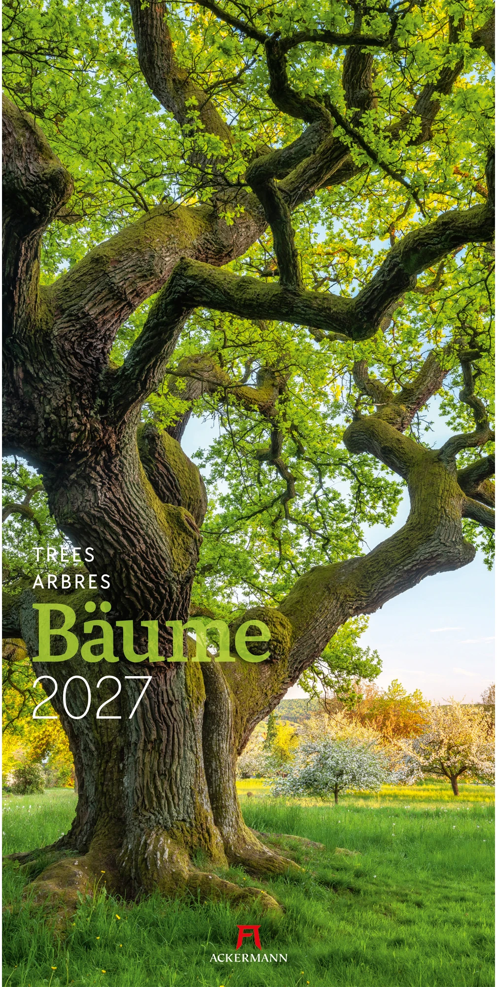 ACKERMANN Bildkalender 2027 2720 Bäume ML 33x66cm