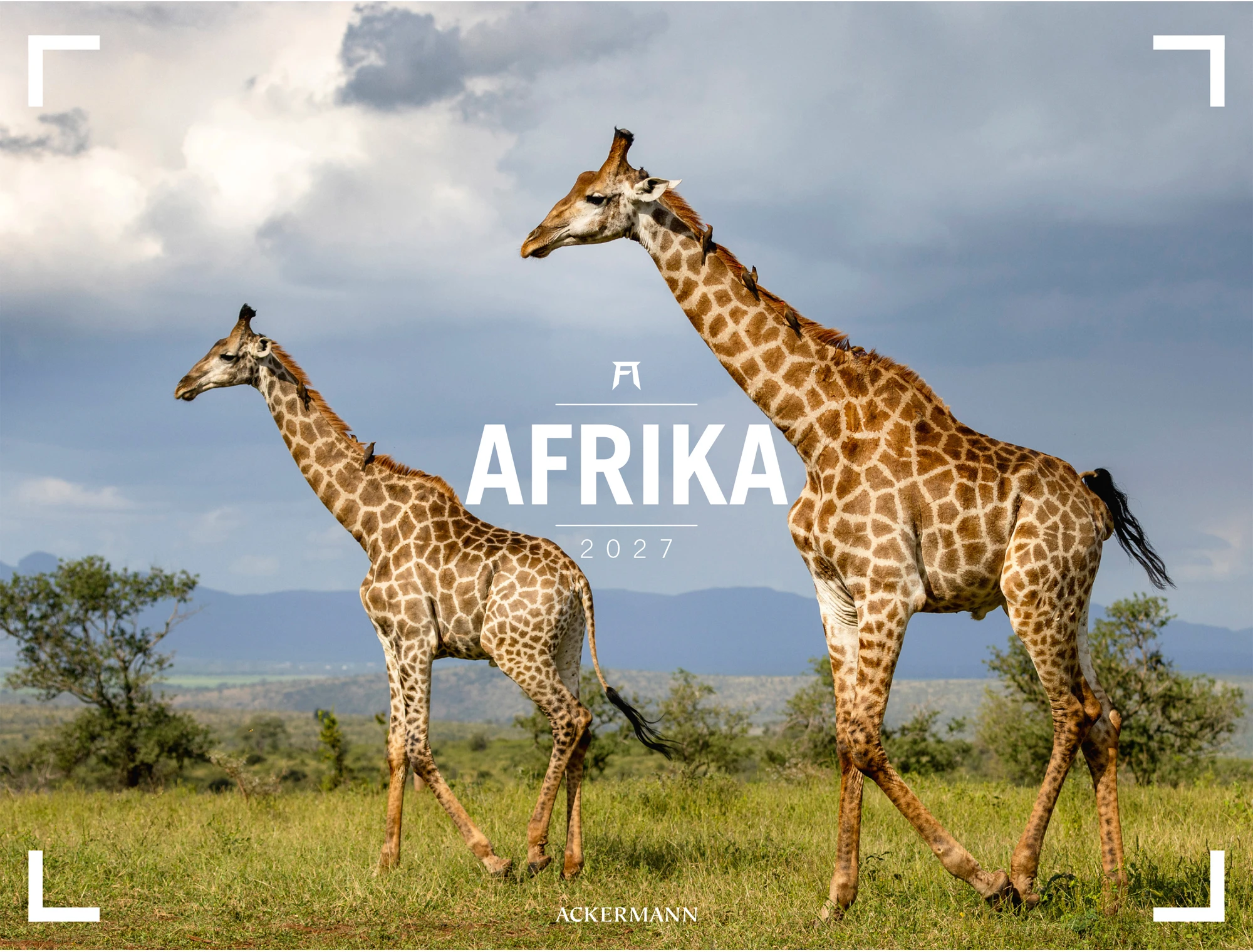 ACKERMANN Bildkalender 2027 3713 Afrika DE/E 66x50cm